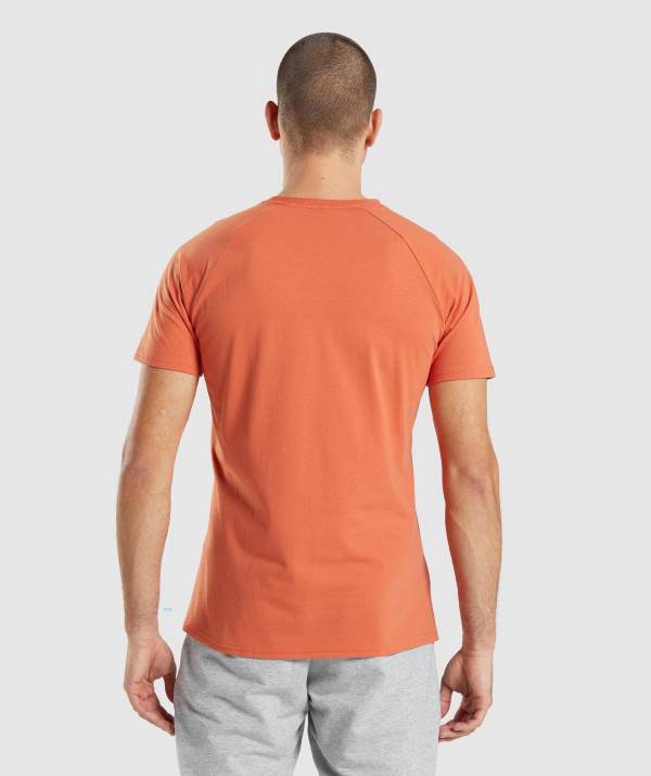 Panske Tricka Gymshark Critical Oranžové | TH4283756